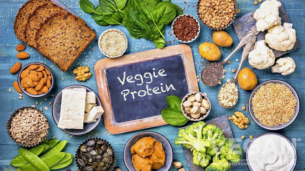 En İyi Vegan Protein Kaynakları