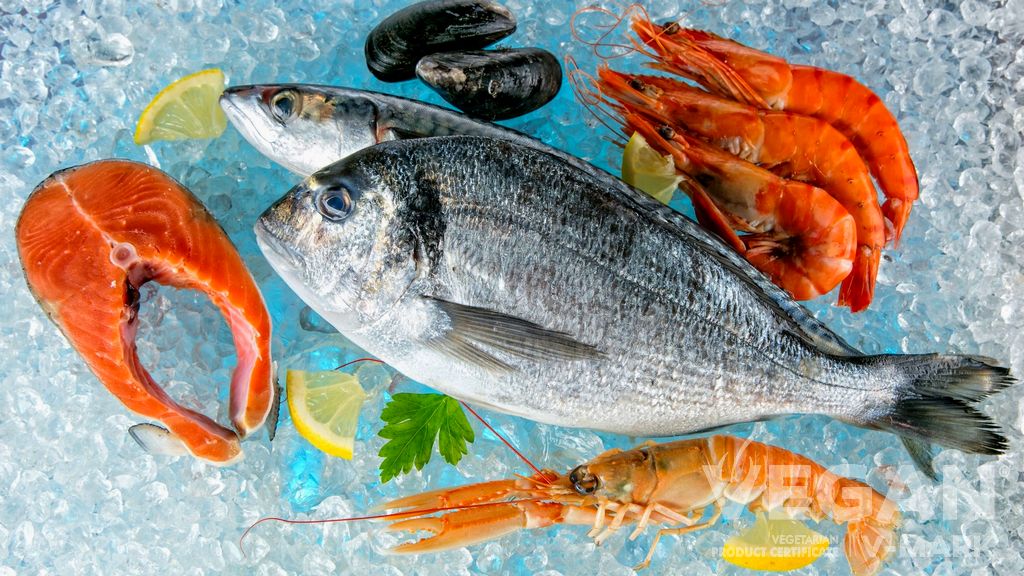 Vegan Kriterleri - Balık veya Diğer Deniz Hayvanları